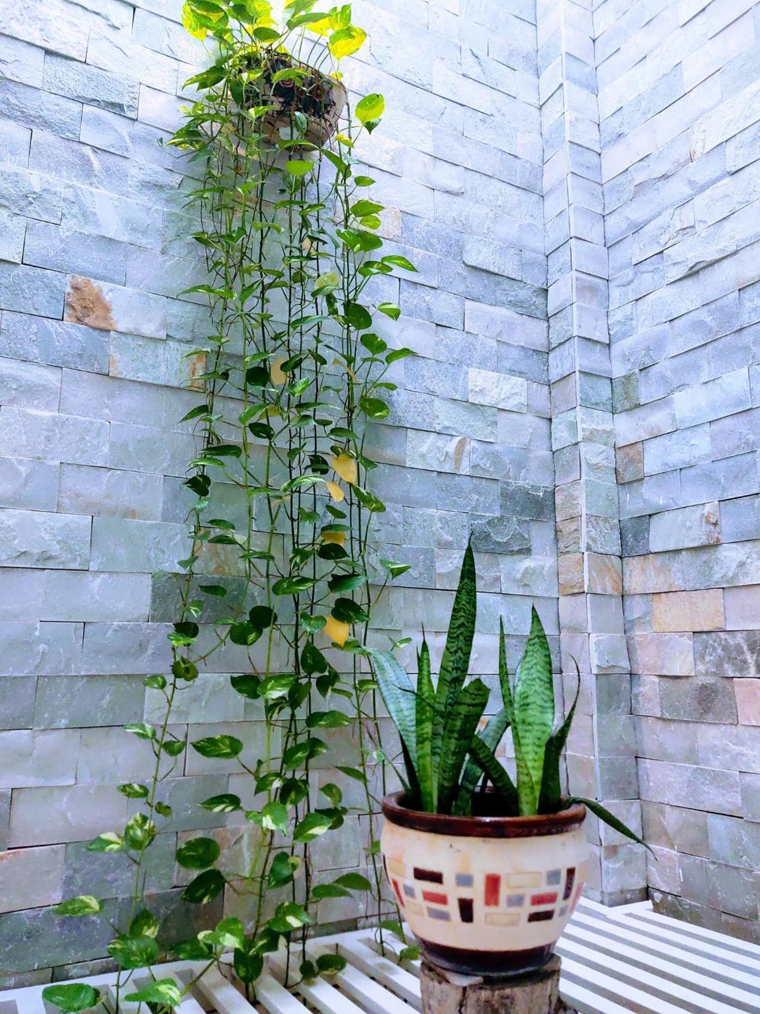 Nap Homestay Kinh Dinh Exterior foto